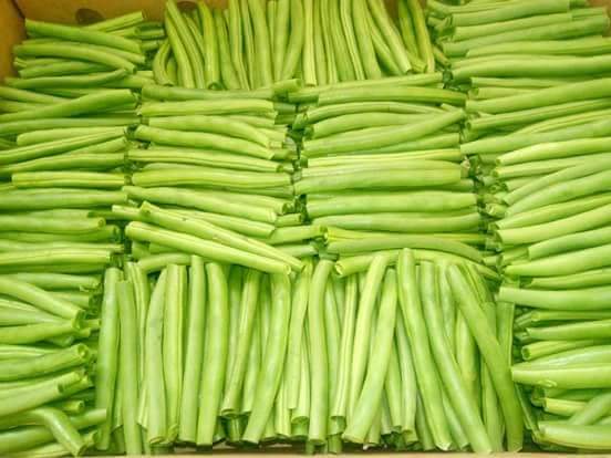 Green Beans Detail 1